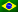 Português pt-br
